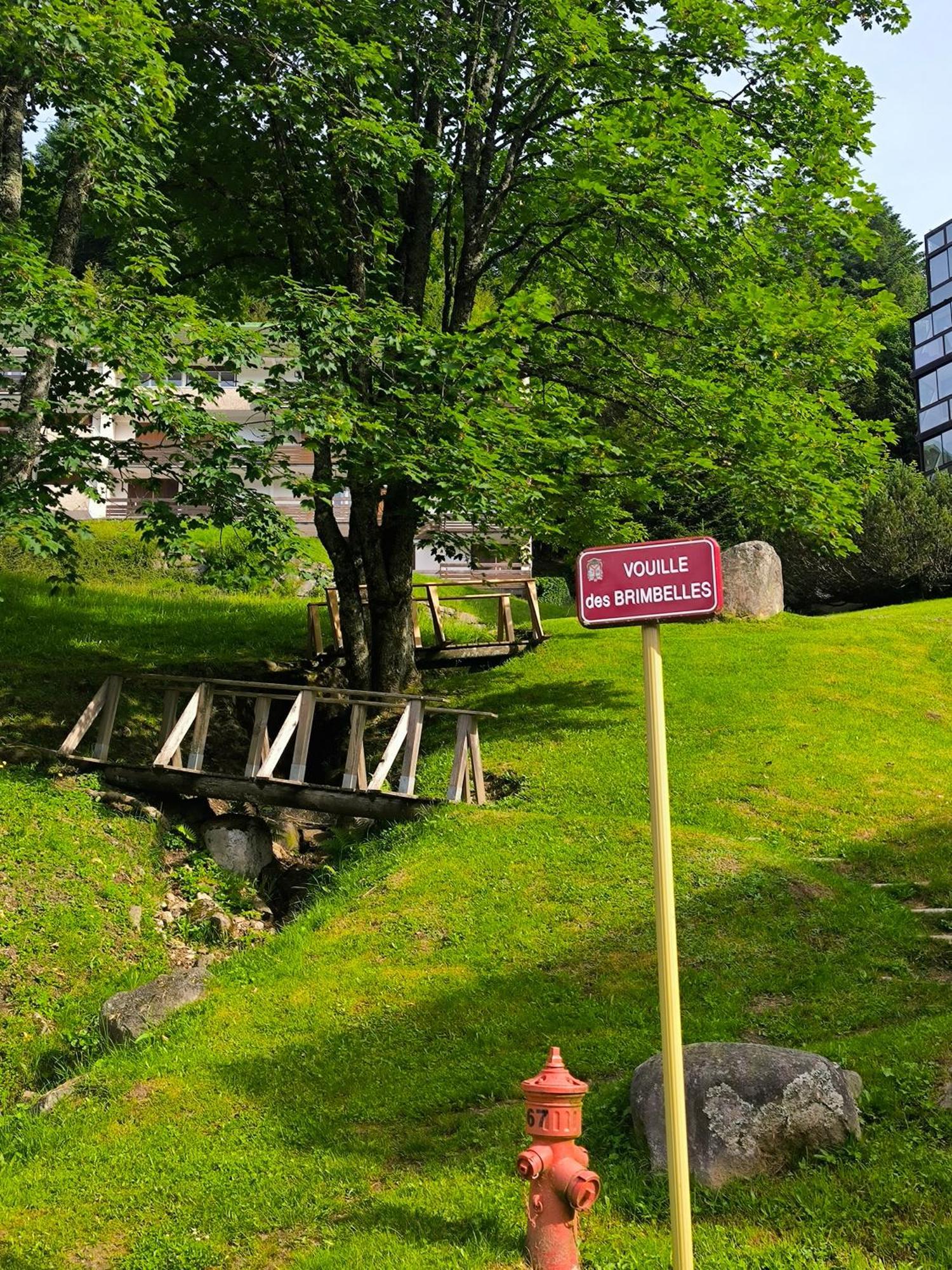Apartamento La Bulle Des Sapins La Bresse Exterior foto